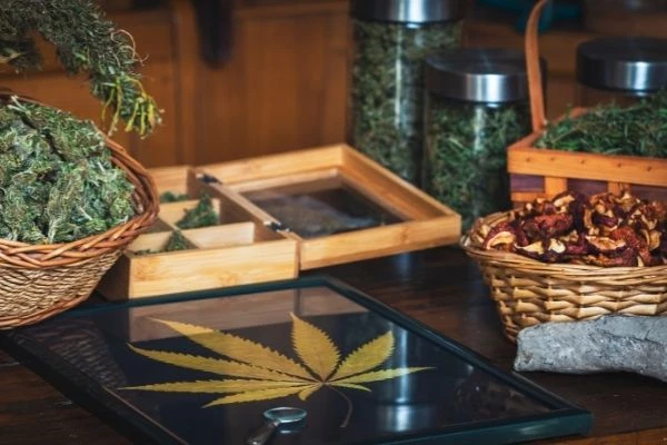 Hanf-Shop mit CBD-Blüten